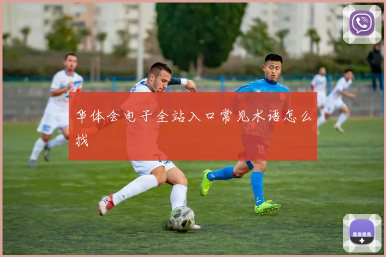 华体会电子全站入口常见术语怎么找