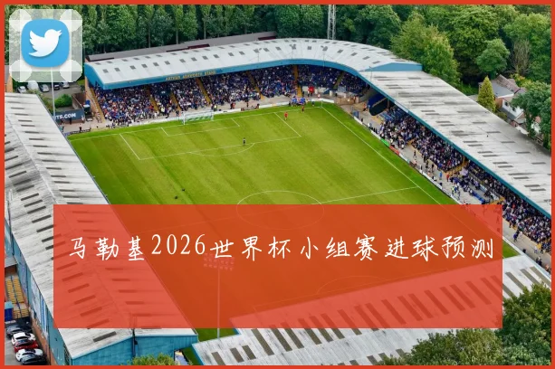 马勒基2026世界杯小组赛进球预测