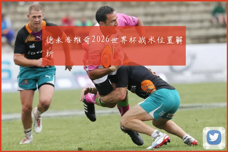 德米洛维奇2026世界杯战术位置解析