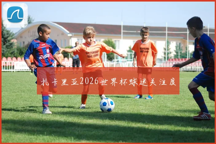 扎卡里亚2026世界杯球迷关注度