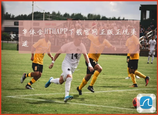 华体会HTHAPP下载官网正版正规渠道