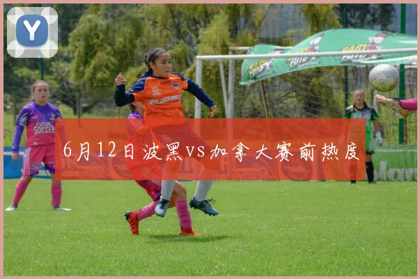 6月12日波黑vs加拿大赛前热度